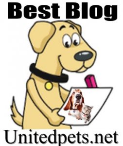 a best blog award